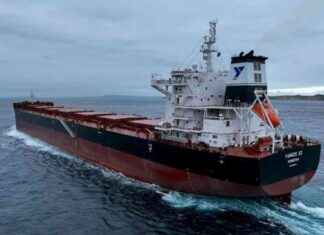 Bulk Carrier Collision in China: Singapore and Japan Ships Involved bulk-carrier-collision-in-china-singapore-and-japan-ships-nvolved