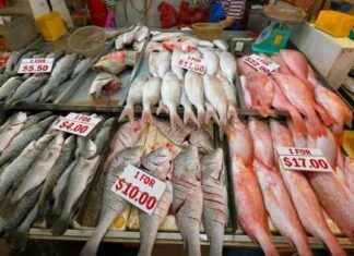 Support Local Fish Farmers: Sustainably Addressing Increasing Costs and Demand Challenges support-local-fish-farmers-sustainably-addressing-ncreasing-costs-and-demand-challenges