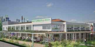 Bedok North’s New Community Hub with Therapy Cats and Shared Kitchen Ready by 2025 bedok-norths-new-community-hub-with-therapy-cats-and-shared-kitchen-ready-by-2025