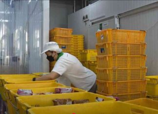 boosting-revenue-and-productivity-how-enterprisesg-helps-firms-expand-overseas