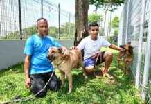 Caring Bangladeshi Workers Bringing Happiness to Rescue Dogs in Singapore Shelter caring-bangladeshi-workers-bringing-happiness-to-rescue-dogs-in-singapore-shelter