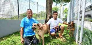Caring Bangladeshi Workers Bringing Happiness to Rescue Dogs in Singapore Shelter caring-bangladeshi-workers-bringing-happiness-to-rescue-dogs-in-singapore-shelter