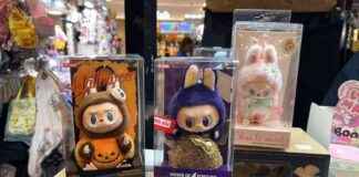 Collecting Dolls for Joy and Comfort: Exploring the Popularity Beyond Labubu – Commentary collecting-dolls-for-joy-and-comfort-exploring-the-popularity-beyond-labubu-commentary