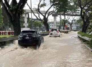 Driving Safety Tips in Flash Floods: FAQ and Emergency Actions for Stranded Drivers driving-safety-tips-in-flash-floods-faq-and-emergency-actions-for-stranded-drivers