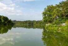 Explore the Free New Boardwalk at Mandai Wildlife Reserve – Open to All explore-the-free-new-boardwalk-at-mandai-wildlife-reserve-open-to-all