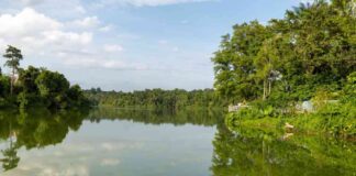 explore-the-free-new-boardwalk-at-mandai-wildlife-reserve-open-to-all