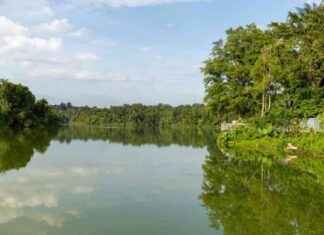 Explore the Free New Boardwalk at Mandai Wildlife Reserve – Open to All explore-the-free-new-boardwalk-at-mandai-wildlife-reserve-open-to-all