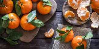 Exploring 5 Popular Mandarin Orange Varieties: A Comprehensive Guide exploring-5-popular-mandarin-orange-varieties-a-comprehensive-guide