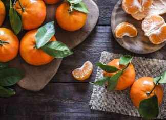 Exploring 5 Popular Mandarin Orange Varieties: A Comprehensive Guide exploring-5-popular-mandarin-orange-varieties-a-comprehensive-guide