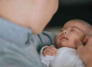 Financial Subsidies and Prepayment of Parental Leave to Benefit Companies Dealing with Extended Employee Absences financial-subsidies-and-prepayment-of-parental-leave-to-benefit-companies-dealing-with-extended-employee-absences