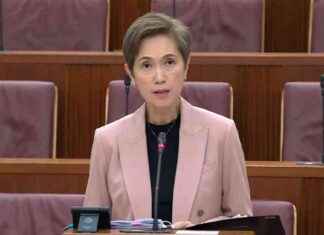 Masking NRIC Numbers: Josephine Teo Warns of False Security with Continued Practice masking-nrc-numbers-josephine-teo-warns-of-false-security-with-continued-practice