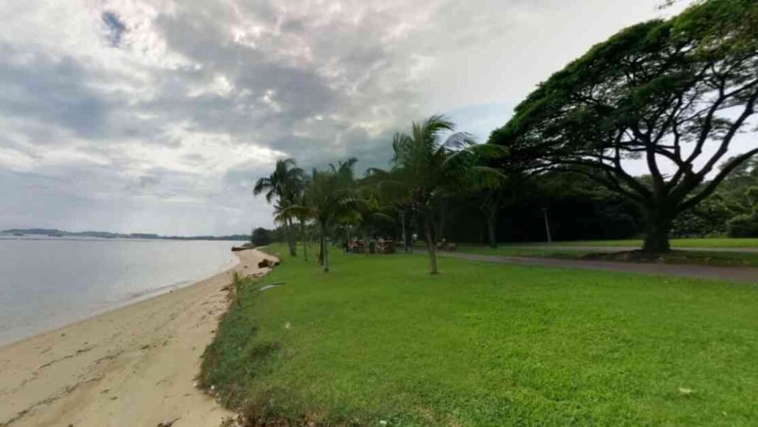 pasir-ris-beach-deemed-safe-for-swimming-water-quality-mproves