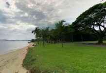 Pasir Ris Beach Deemed Safe for Swimming: Water Quality Improves pasir-ris-beach-deemed-safe-for-swimming-water-quality-mproves