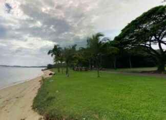 Pasir Ris Beach Deemed Safe for Swimming: Water Quality Improves pasir-ris-beach-deemed-safe-for-swimming-water-quality-mproves