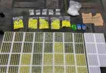 Seized Vape Pods Containing Anaesthetic Agent: What You Need to Know seized-vape-pods-containing-anaesthetic-agent-what-you-need-to-know