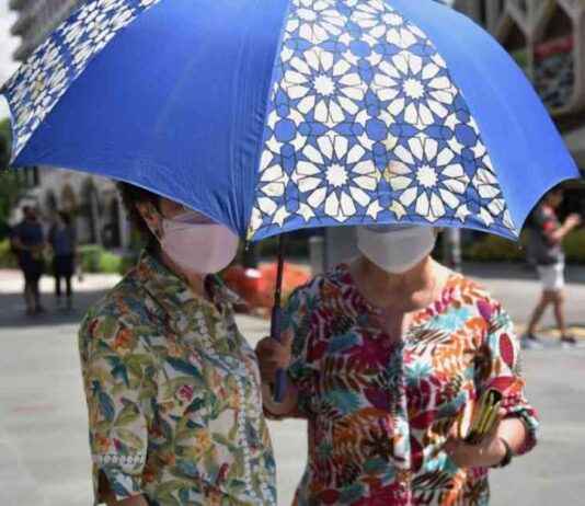 Singapore Records Joint-Warmest Year in 2024; Temperature Highs in April, July, and December singapore-records-joint-warmest-year-in-2024-temperature-highs-in-april-july-and-december