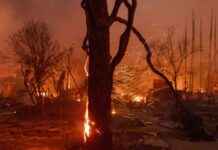 Singaporean Expats in LA Forced to Evacuate Homes Amid Wildfires singaporean-expats-in-la-forced-to-evacuate-homes-amid-wildfires