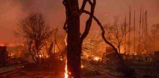 Singaporean Expats in LA Forced to Evacuate Homes Amid Wildfires singaporean-expats-in-la-forced-to-evacuate-homes-amid-wildfires