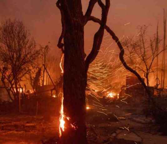 Singaporean Expats in LA Forced to Evacuate Homes Amid Wildfires singaporean-expats-in-la-forced-to-evacuate-homes-amid-wildfires