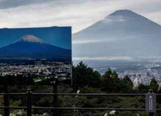 Travel Demand Unaffected by Extreme Weather: Commentary travel-demand-unaffected-by-extreme-weather-commentary