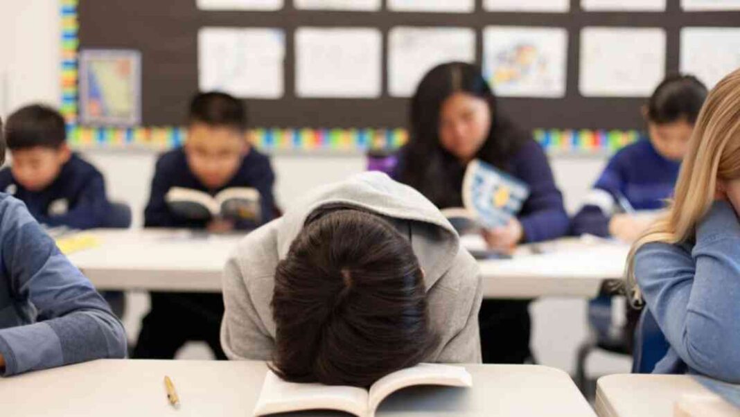 why-tuition-fees-are-outdated-a-commentary-on-education-costs