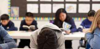 Why Tuition Fees are Outdated: A Commentary on Education Costs why-tuition-fees-are-outdated-a-commentary-on-education-costs