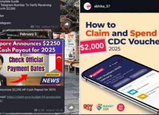 Beware of Scams: Fake Websites & Infographics on Government Payouts beware-of-scams-fake-websites-nfographics-on-government-payouts