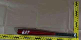 Man Arrested for Attacking Police Officer with Baseball Bat man-arrested-for-attacking-police-officer-with-baseball-bat