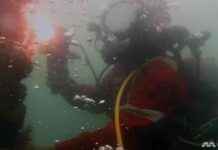Implementing Licensing System for Commercial Diving Firms: Safety Measures mplementing-licensing-system-for-commercial-diving-firms-safety-measures