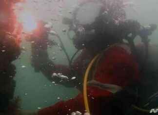 Implementing Licensing System for Commercial Diving Firms: Safety Measures mplementing-licensing-system-for-commercial-diving-firms-safety-measures