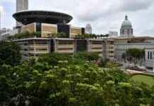 Implications of Birth Injuries on Future Pregnancies mplications-of-birth-njuries-on-future-pregnancies