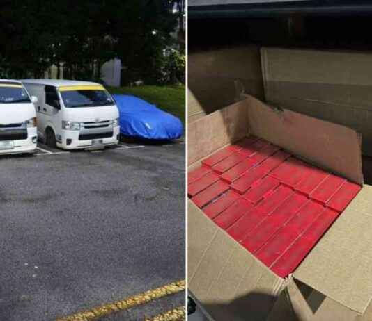 Suspects arrested for evading S$450,000 duty and GST suspects-arrested-for-evading-s450000-duty-and-gst