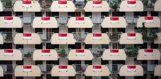 Benefits of Immigration on Singapore’s Economy: Insights from SM Lee benefits-of-mmigration-on-singapores-economy-nsights-from-sm-lee