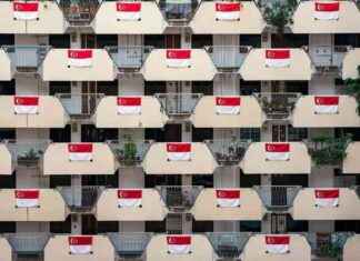 Benefits of Immigration on Singapore’s Economy: Insights from SM Lee benefits-of-mmigration-on-singapores-economy-nsights-from-sm-lee