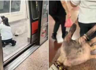 Power Bank Fire on MRT Train at Raffles Place power-bank-fire-on-mrt-train-at-raffles-place